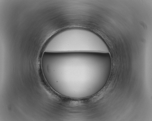 X0000112880160200908211059