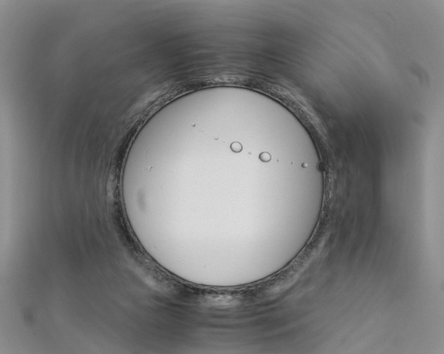 X0000112880161200908211059