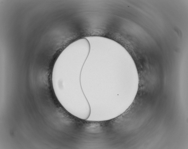 X0000112880162200908211059