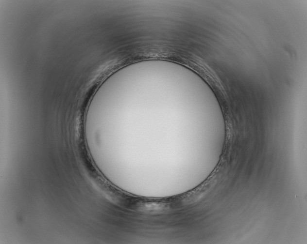 X0000112880163200908211059