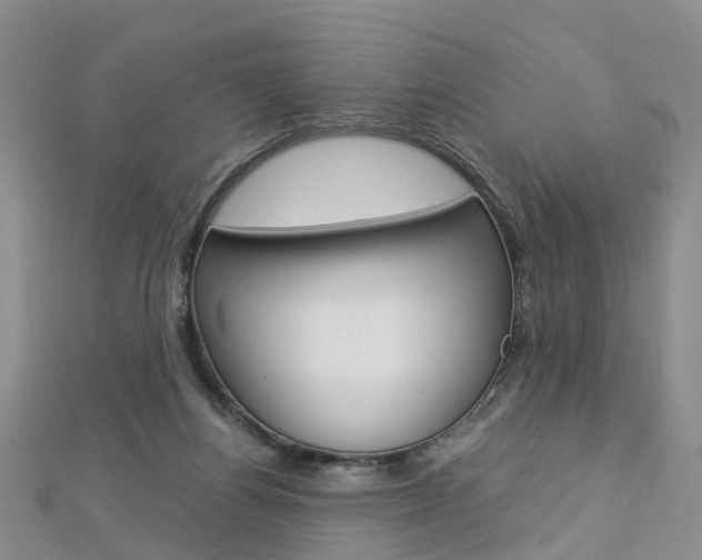 X0000112880164200908211059