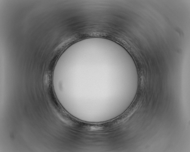 X0000112880165200908211059