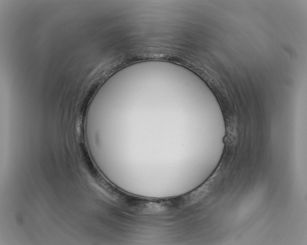 X0000112880166200908211059