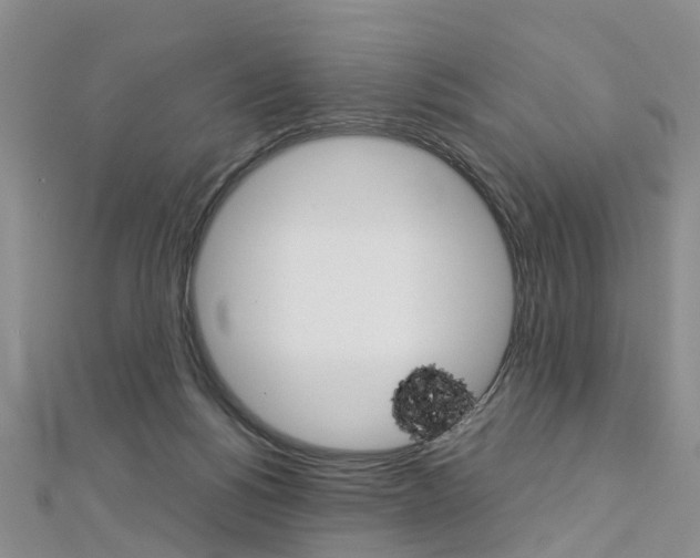 X0000112880168200908211059