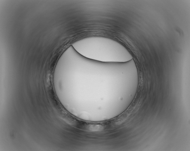 X0000112880169200908211059