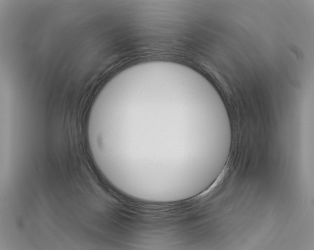 X0000112880170200908211059