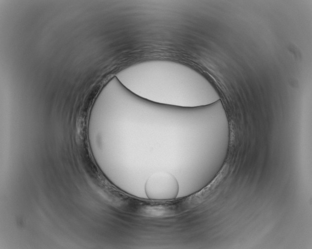 X0000112880171200908211059