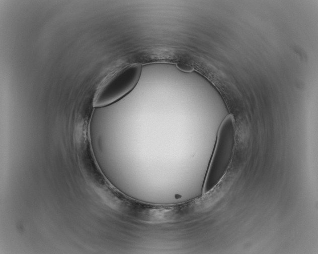 X0000112880172200908211059