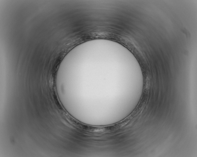 X0000112880173200908211059