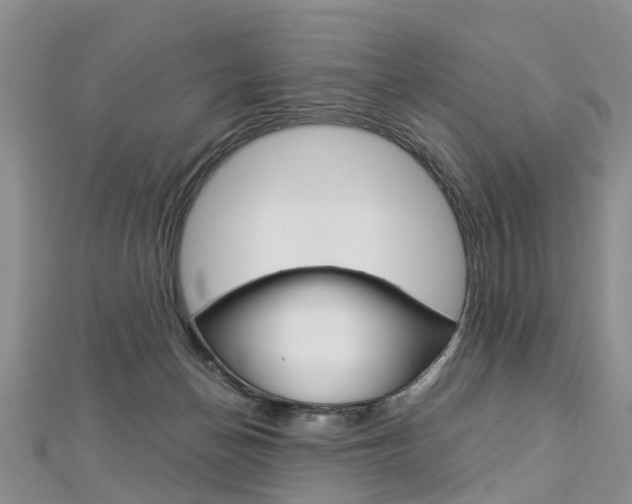 X0000112880174200908211059