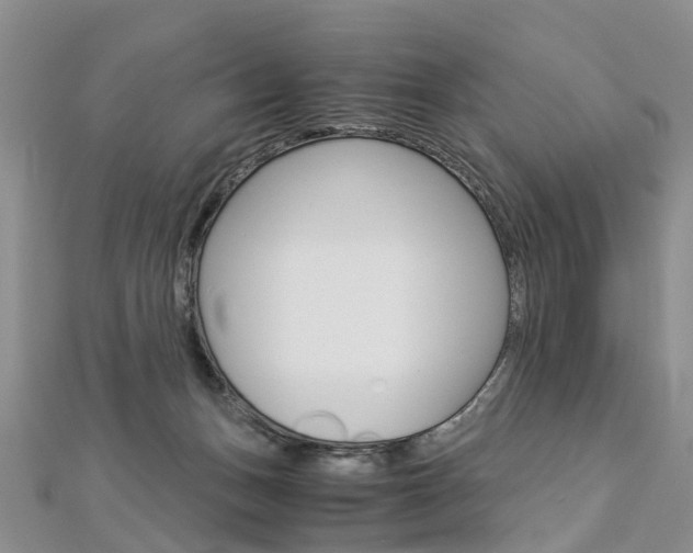 X0000112880175200908211059