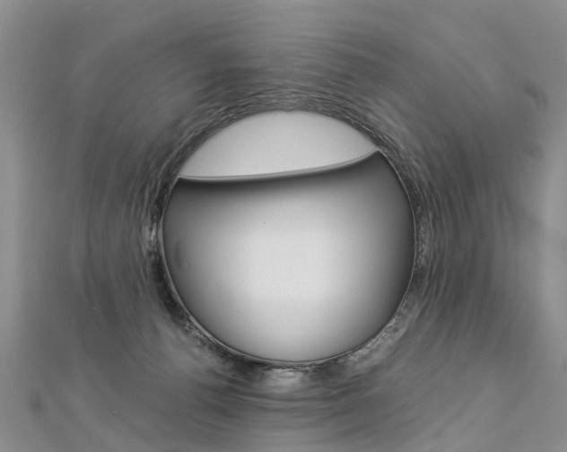 X0000112880176200908211059