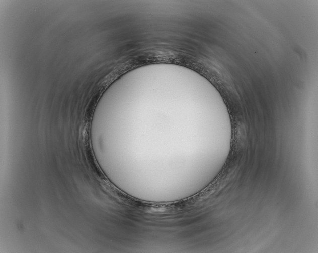 X0000112880177200908211059