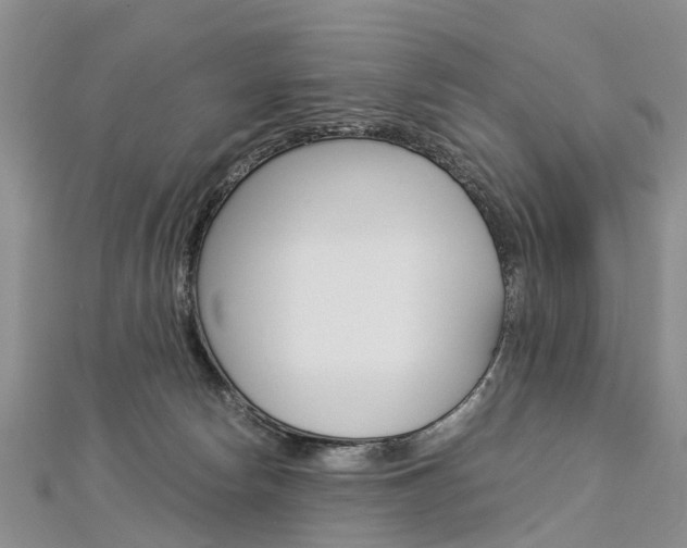 X0000112880178200908211059