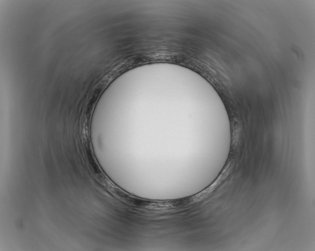 X0000112880179200908211059