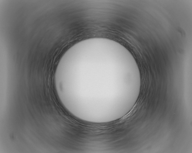 X0000112880180200908211059