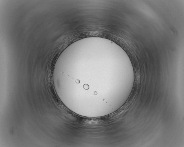 X0000112880181200908211100