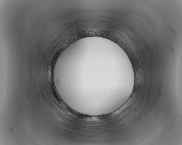 X0000112880183200908211100