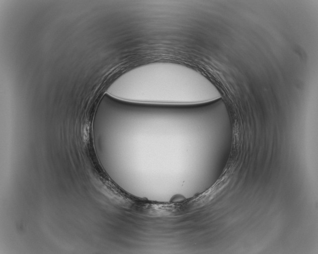 X0000112880188200908211100