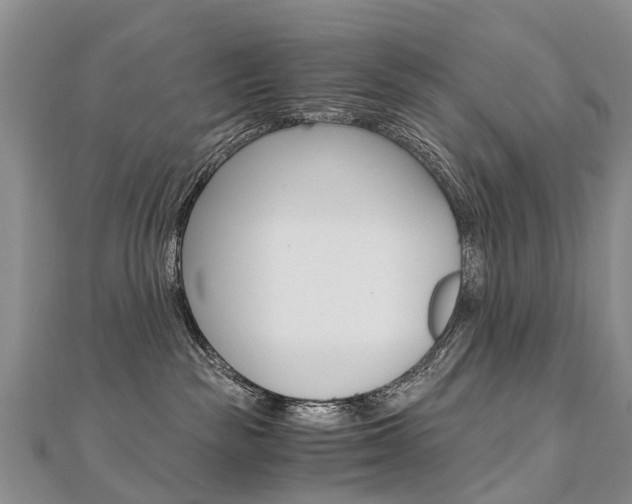 X0000112880189200908211100