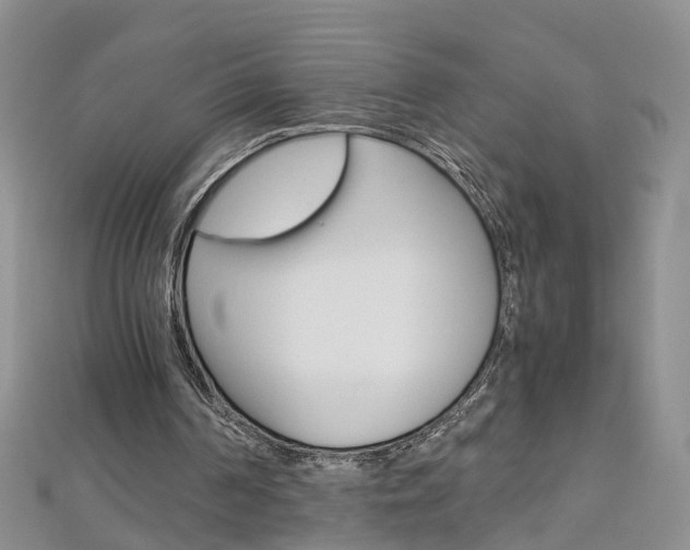 X0000112880194200908211059