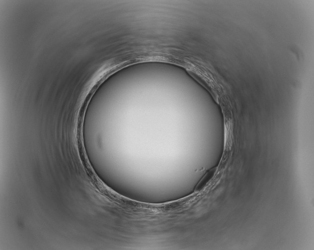 X0000112880195200908211059