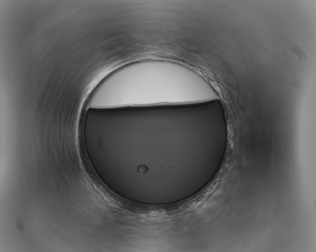 X0000112880196200908211059