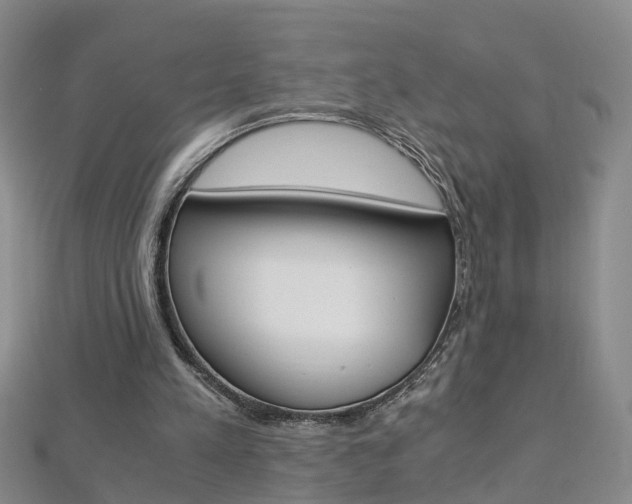 X0000112880197200908211059