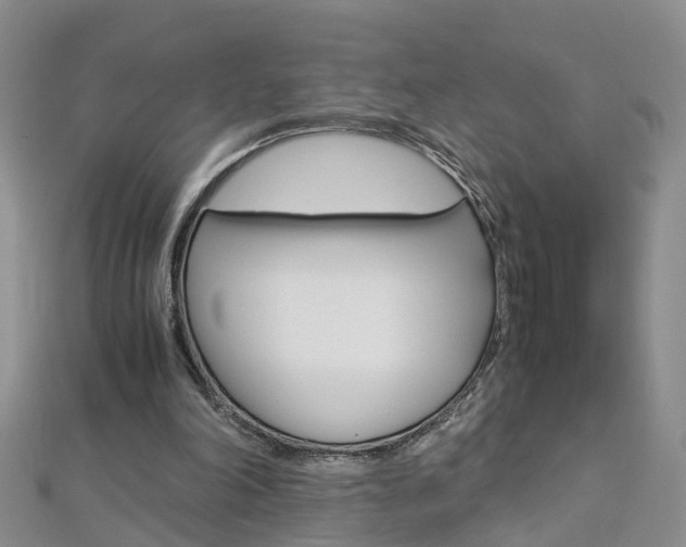 X0000112880198200908211059