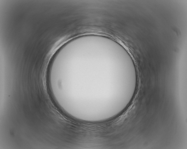 X0000112880199200908211059