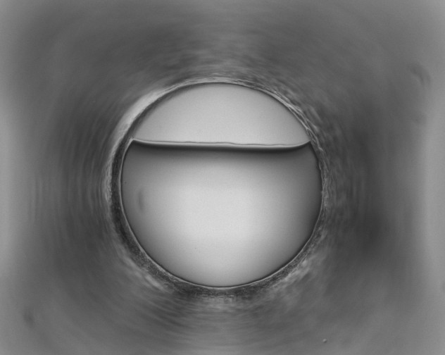 X0000112880200200908211059