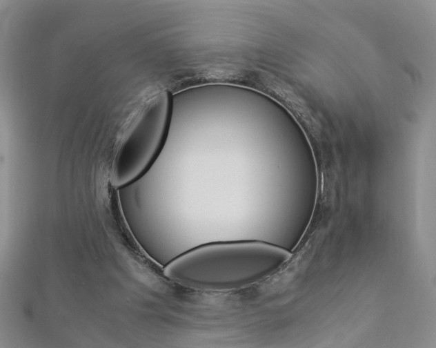 X0000112880201200908211059