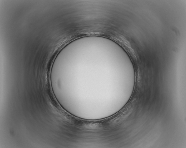 X0000112880202200908211059