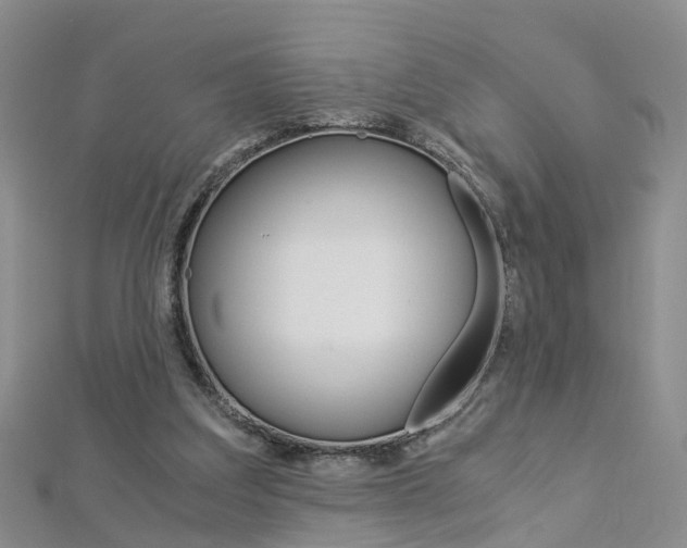 X0000112880203200908211059