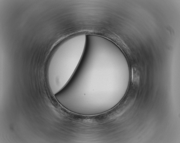 X0000112880204200908211059