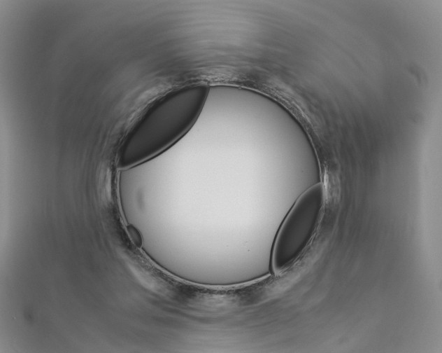 X0000112880205200908211059