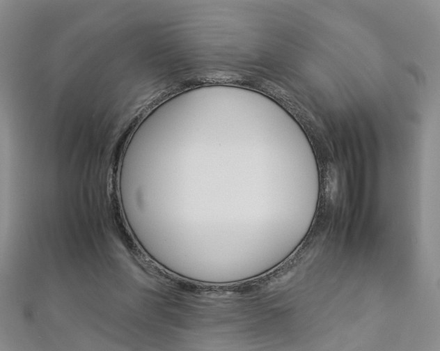 X0000112880206200908211059