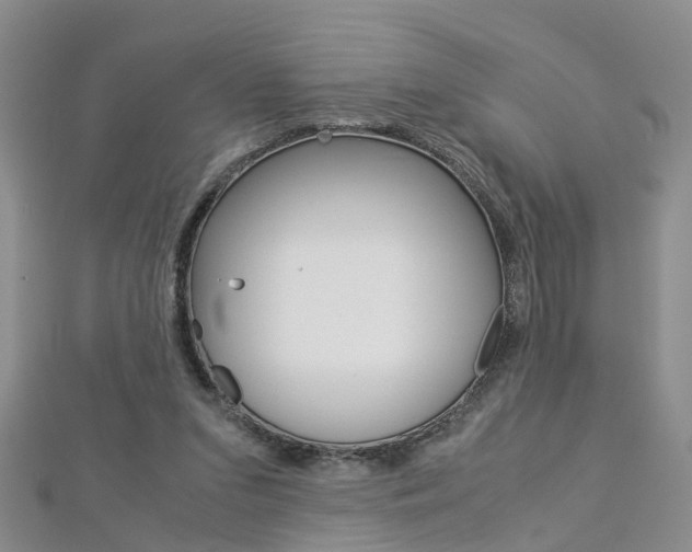 X0000112880207200908211059