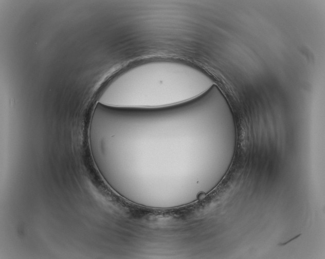 X0000112880208200908211059