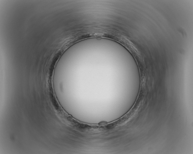 X0000112880209200908211059