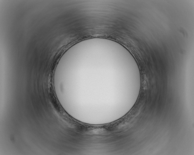 X0000112880210200908211059