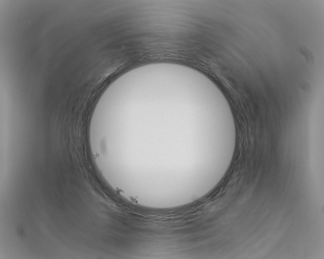 X0000112880211200908211059