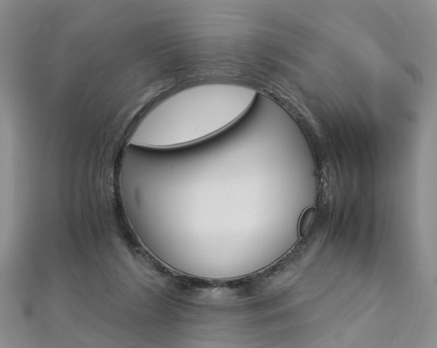 X0000112880212200908211059