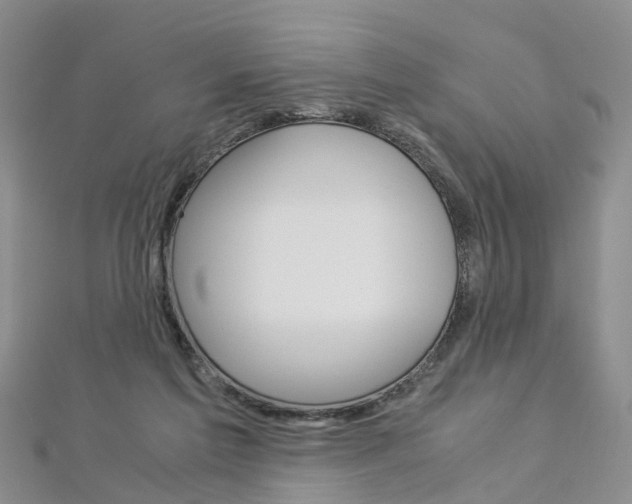 X0000112880213200908211059