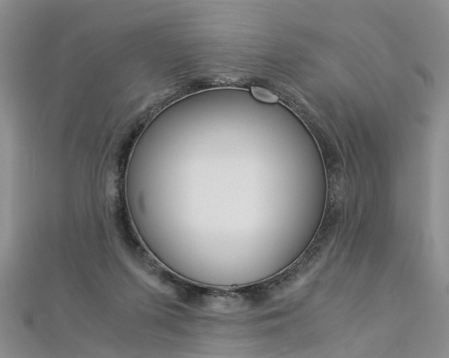 X0000112880215200908211059