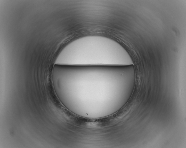 X0000112880216200908211059