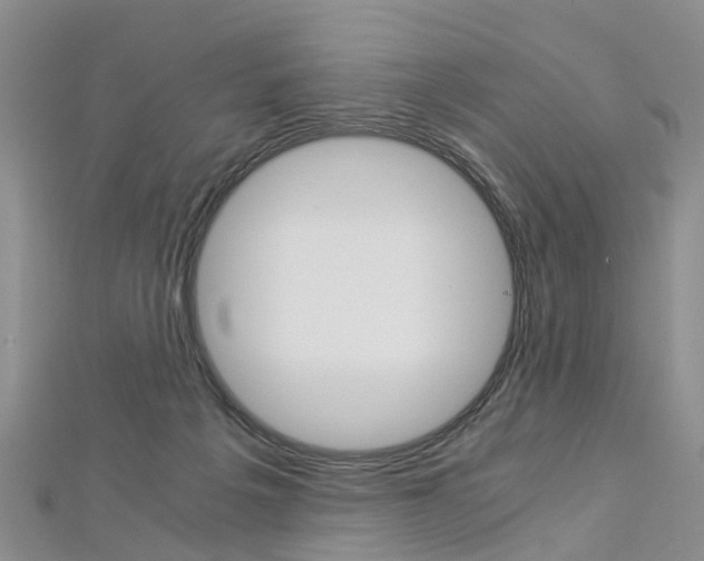 X0000112880217200908211059