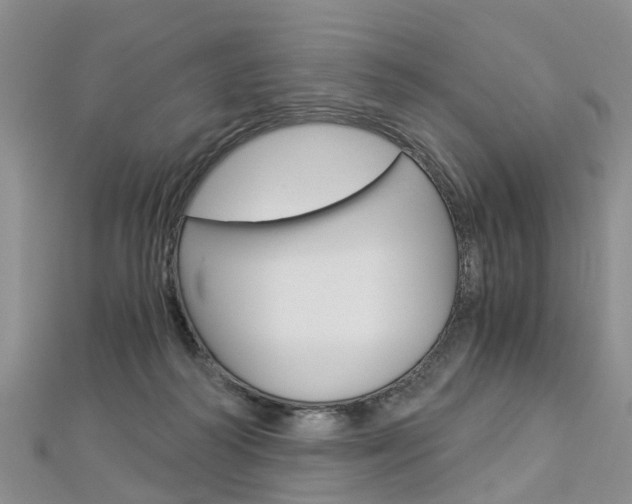 X0000112880218200908211059