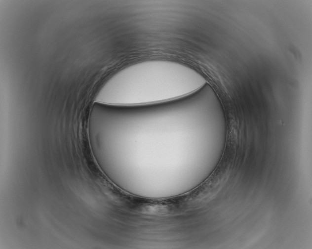 X0000112880220200908211059