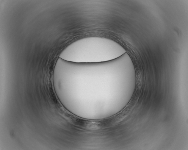 X0000112880222200908211058